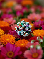 Thumbnail for Inhanns Rang-E-Roshan Adjustable Ring – Handmade Crystal Statement Ring - Multicolor 1 - Distacart