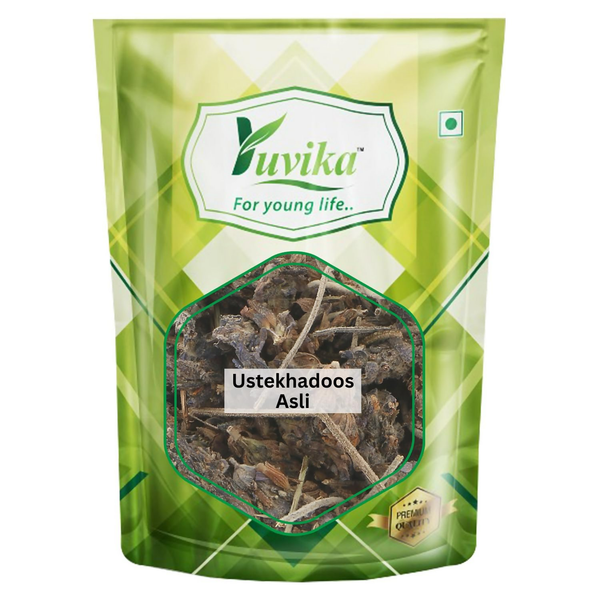 Yuvika Ustekhadoos Asli - Uste Khadus - Lavandula Stoechas - Arabian Lavende