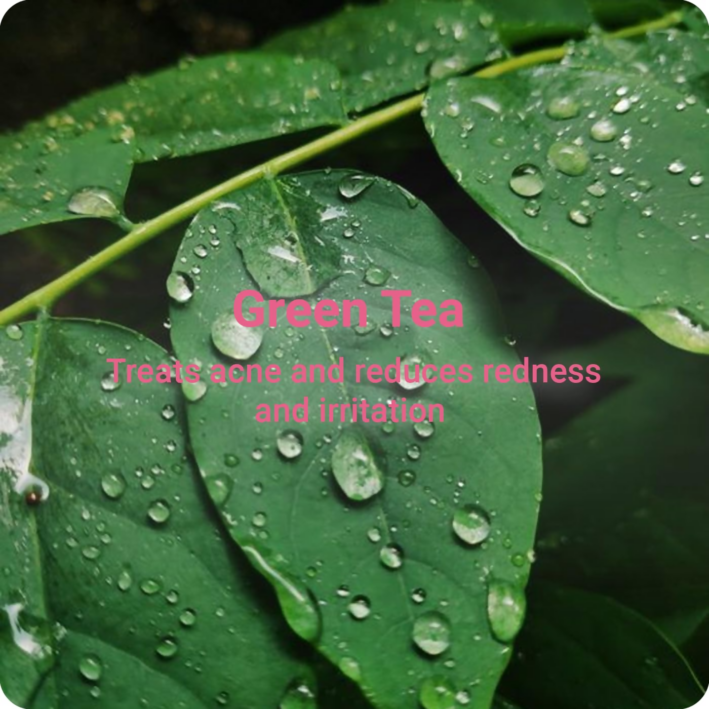 download - 2024-11-11T112823.965