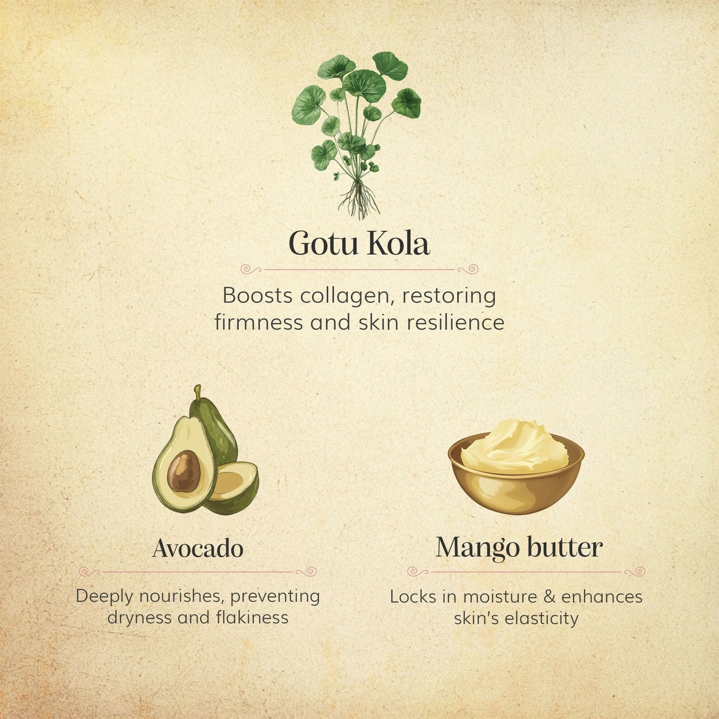 Chengavi Gotu kola & Avocado Day Cream - Distacart