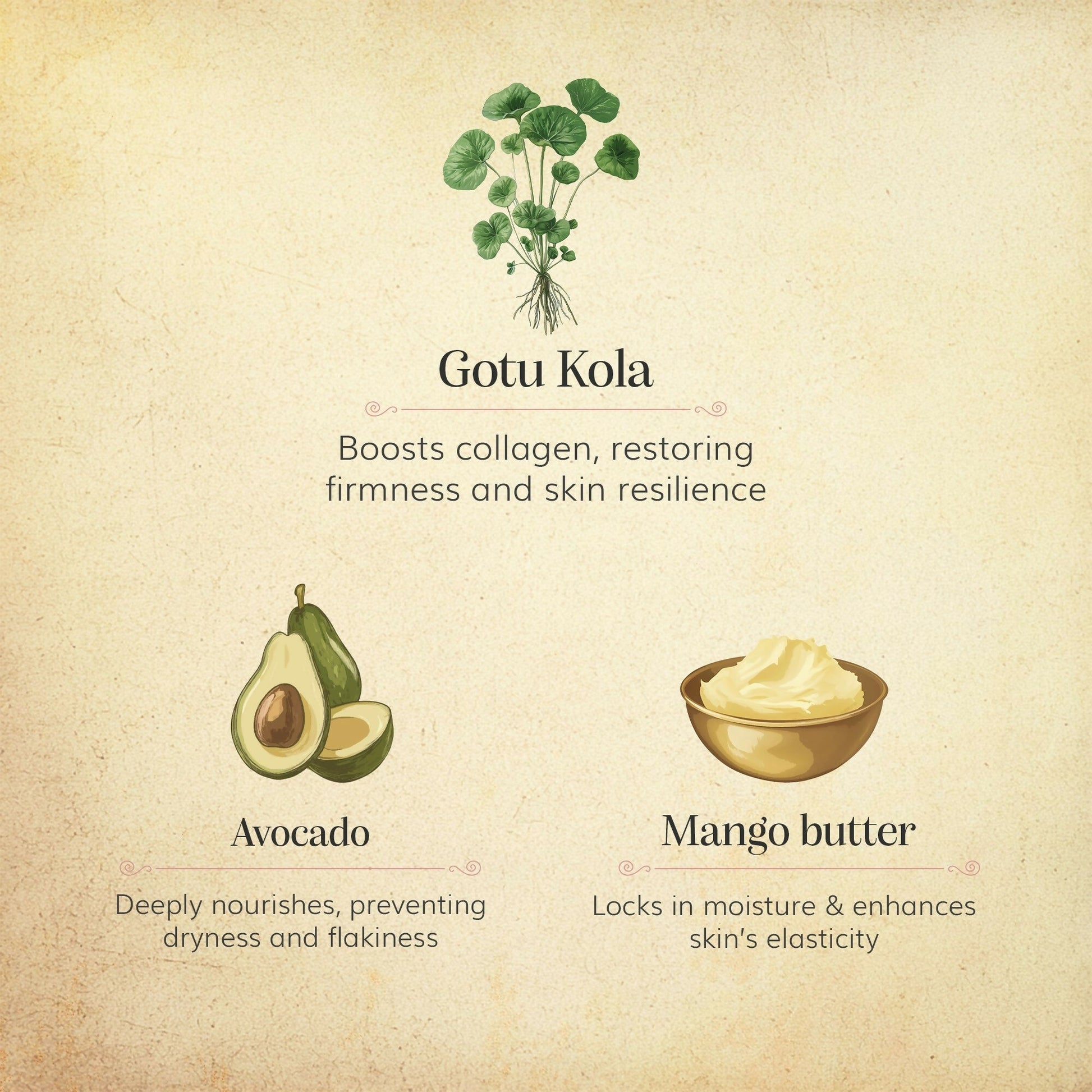 Chengavi Gotu kola & Avocado Day Cream - Distacart
