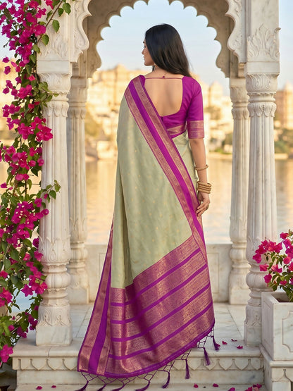 Shree Shyam Fashion Chiku Silk Blend Saree - Dista