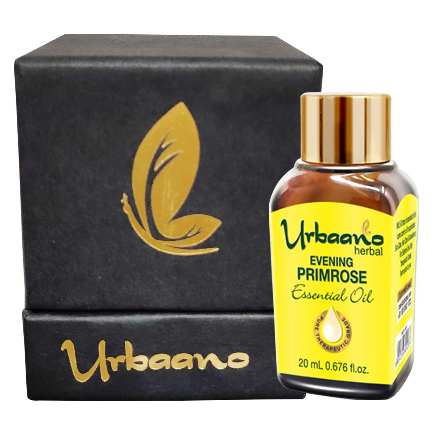 download - 2025-05-07T115951.683