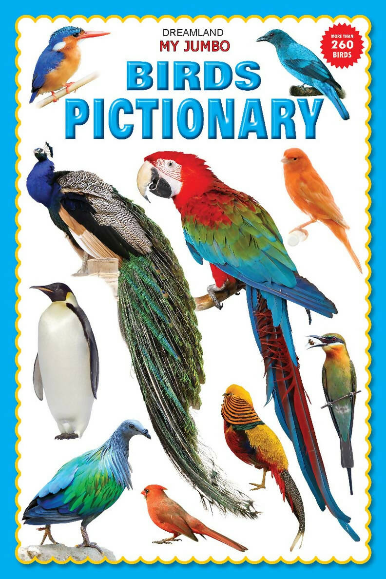 Dreamland My Jumbo Birds Pictionary - Distacart