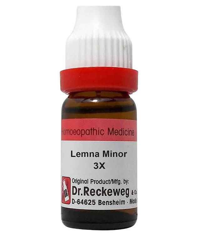 Dr. Reckeweg Lemna Minor Dilution - Distacart