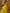 Sangria Floral Embroidered Sequins Details Net Saree - Distacart