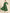 Sangria Women Green Bandhani Printed Anarkali Kurta - Distacart