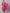 Kalini Women Pink Floral Gotta Patti Kurta with Trousers With Dupatta - Distacart