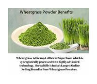 Thumbnail for Wheat-O-Power Wheatgrass Powder 100 gm