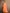 Mitera Orange Embellished Sequinned Pure Chiffon Saree - Distacart
