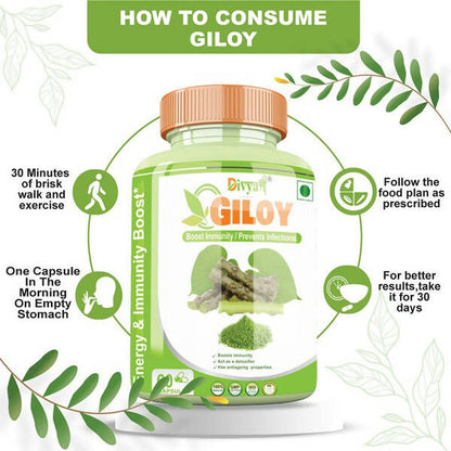 Divya Shree Giloy Capsules - Distacart