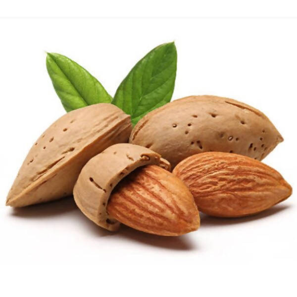 Freshon Almond 