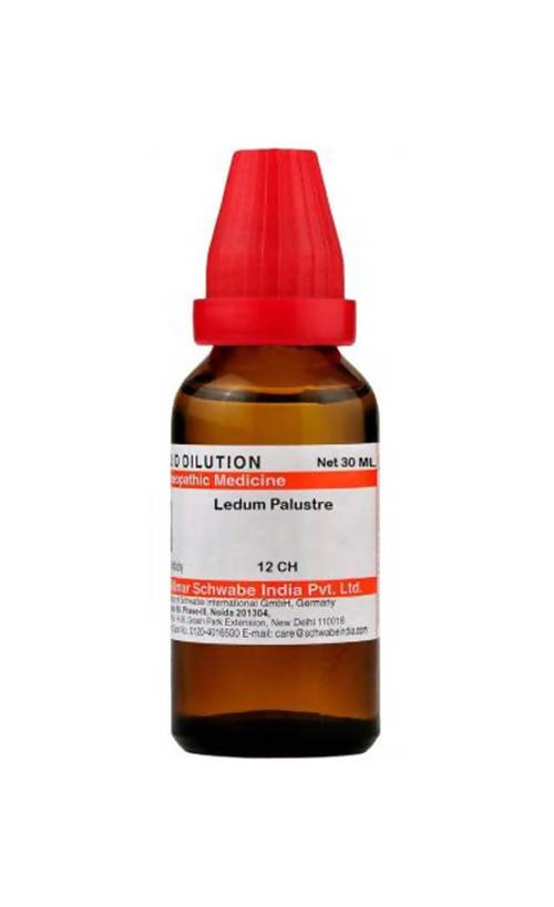 Dr. Willmar Schwabe India Ledum Palustre Dilution - Distacart