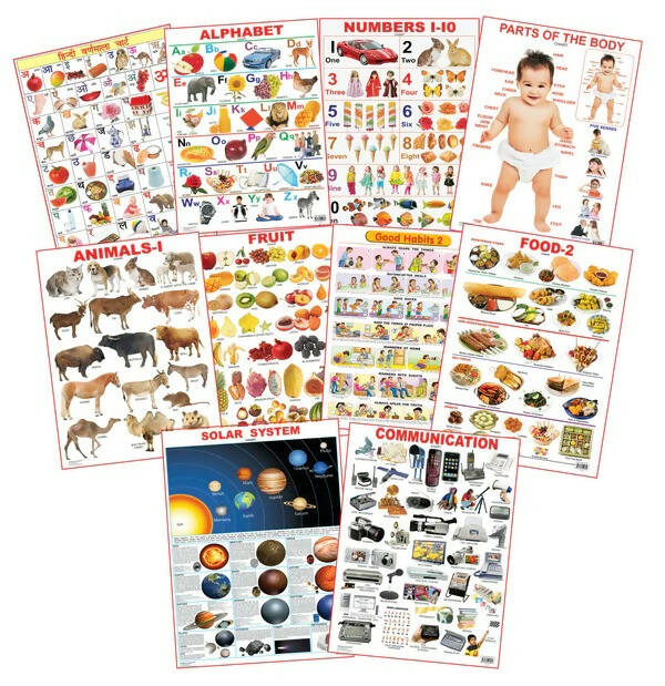 Dreamland Educational Charts - Combo 3 (10 Charts) : Children Early Learning Laminated Chart - Distacart