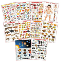Thumbnail for Dreamland Educational Charts - Combo 3 (10 Charts) : Children Early Learning Laminated Chart - Distacart