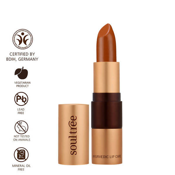 Lipstick Rusty Cinnamon