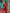 Kalini Ethnic Motif Woven Design Zari Banarasi Saree - Distacart
