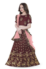 Thumbnail for Dwiden Maroon Baby Doll Tafetta Sattin Semi-Stitched Girl's Lehenga Choli - Distacart