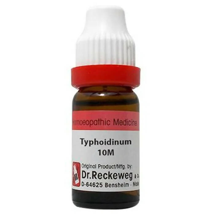 Dr. Reckeweg Typhodinum Dilution - Distacart
