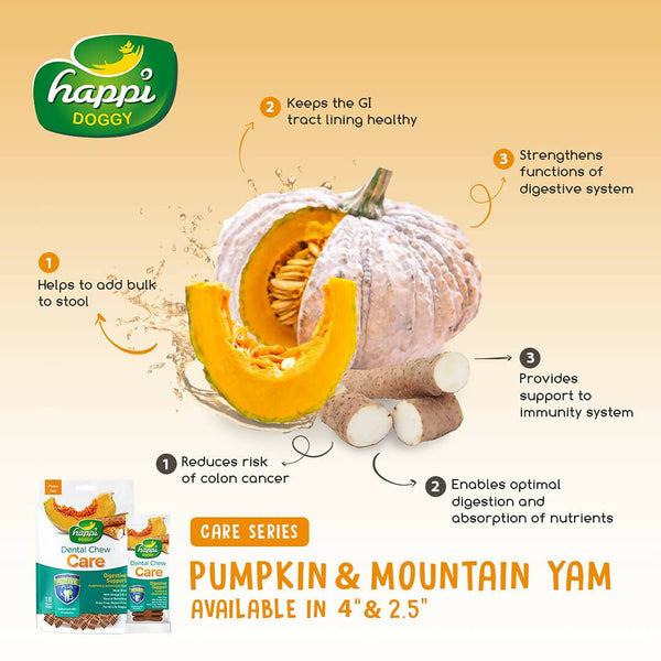 Happi Doggy Dental Chew Care Digestive Support Pumpkin & Mountain Yam - Distacart
