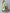 Khushal K Women Green Paisley Patchwork Kurta with Palazzos - Distacart