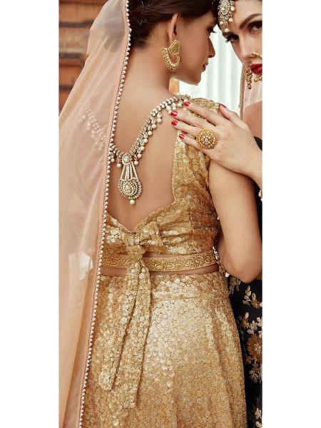 Myra Beige Soft net Lahanga - Distacart