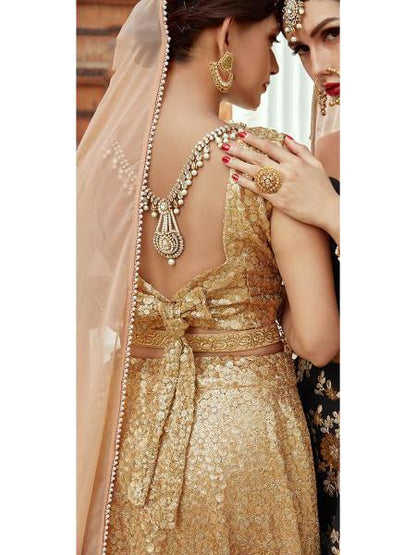 Myra Beige Soft net Lahanga - Distacart