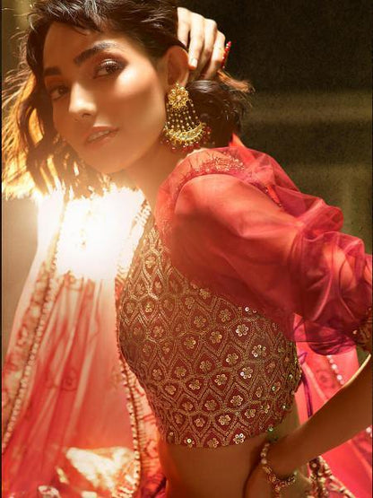 Myra Maroon Embroidered Net Lehenga - Distacart