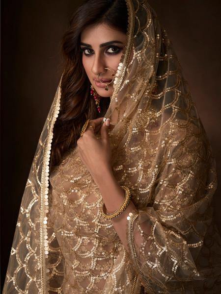 Myra Beige Soft Net Gharara Suit - Distacart