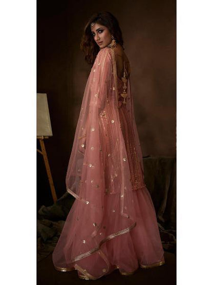 Myra Pink Soft Net Gharara Suit - Distacart