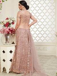Thumbnail for Beautiful Dusty Pink Heavy Embroidered Net Lehenga