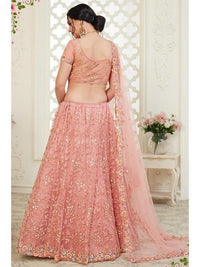 Thumbnail for Dusty Pink Heavy Embroidered Net Lehenga