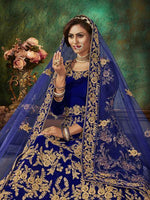 Thumbnail for Myra Blue Velvet Embroidered Anarkali 