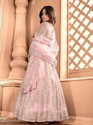 Myra Light Pink Butterfly Net Embroidered Anarkali Suit