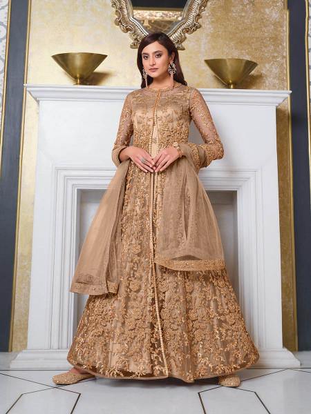 Myra Beige Net Embroidery Gown
