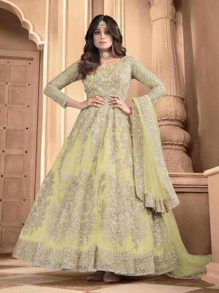 Myra Pista Butterfly Net Embroidered Anarkali Suit