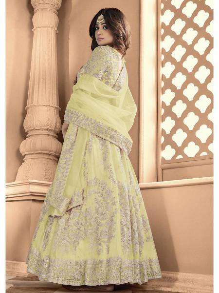 Myra Pista Butterfly Net Embroidered Anarkali Suit