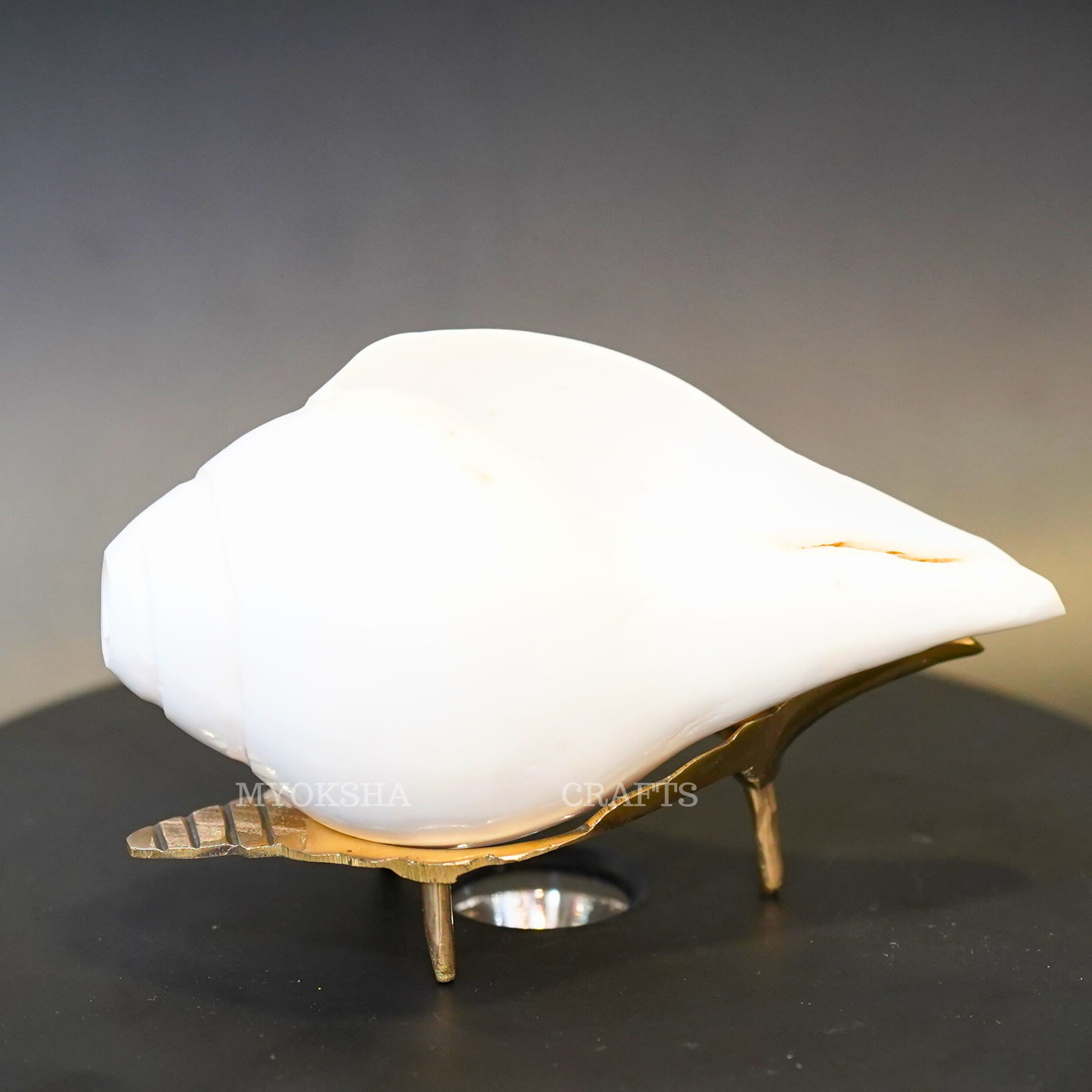 Shankh with Brass Stand  - 1