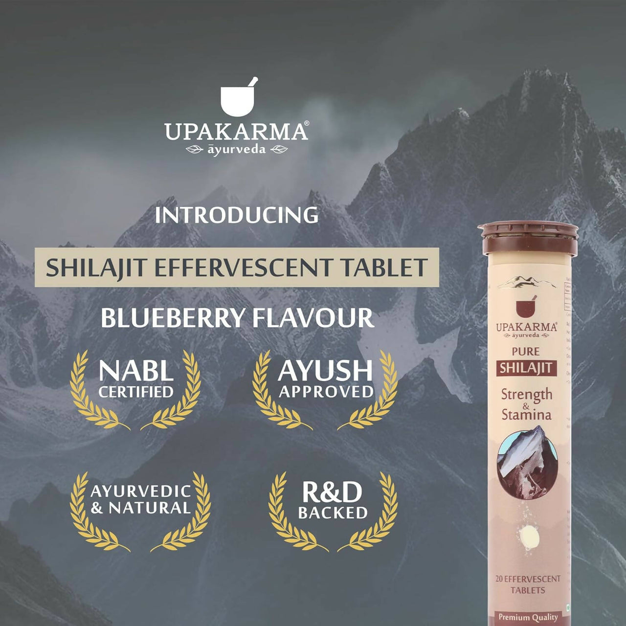 Upakarma Ayurveda Pure SJ Effervescent Tablets in 2 Unique Flavors (Pure SJ & Blueberry) Combo - Distacart