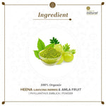 Thumbnail for Khadi Natural Organic Henna & Amla Fruit Powder