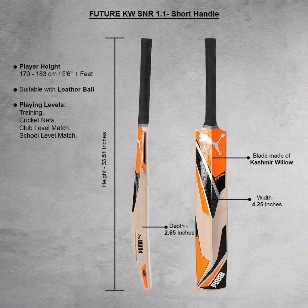 Puma Future Kashmir Willow Cricket Bat - Distacart