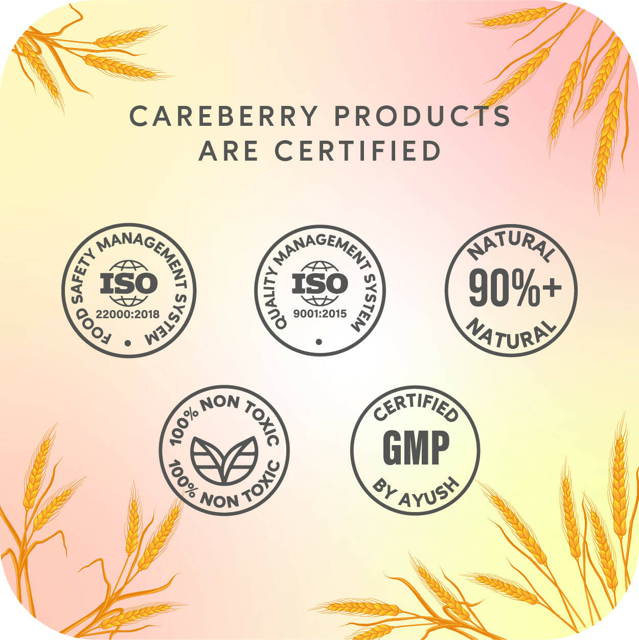 Careberry Fermented Rice Water & Wheat Volumizing Shampoo + Conditioner For Thin & Brittle Hair - Distacart