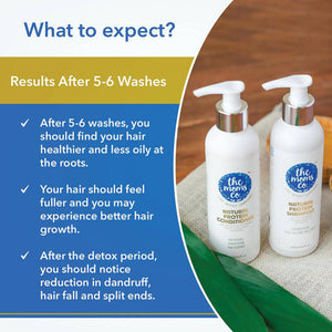 The Moms Co Anti Hair Fall 3-Step Protein Kit - Distacart