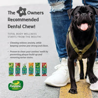 Thumbnail for Happi Doggy Dental Chew Zest - Orange - Distacart