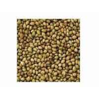 Thumbnail for Coriander Seeds 