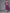 Varanga Purple Printed Straight Kurta With Lace Detailings On Yoke - Distacart
