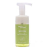 Earth Rhythm Phyto Clear Foaming Cleanser - Distacart