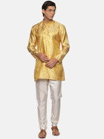 Thumbnail for Sethukrishna Gold-Toned Kurta with Pyjamas For Men - Distacart