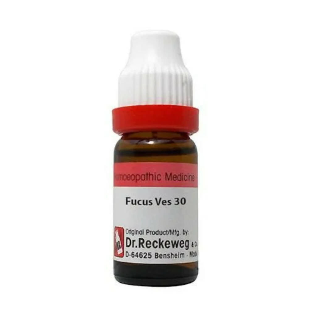 Dr. Reckeweg Fucus Ves Dilution - Distacart