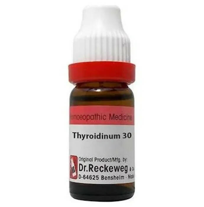 Dr. Reckeweg Typhodinum Dilution - Distacart
